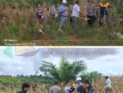 Sinergi Korporasi-Kepolisian Berbuah Manis: PT Berau Karetindo Lestari Gelar Panen Raya Jagung, Perkuat Ketahanan Pangan Indonesia