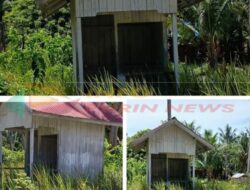 Ironi Keamanan Komunitas: Ketika Mandat Pusat Mati di Rumput Liar Pulau Balikukup