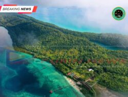 Peningkatan Arus Wisatawan Menjelang Akhir Tahun : Sorotan Tajam Terhadap Standar Keselamatan dan Kemanusiaan Transportasi Laut Maratua