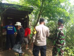 Gubuk yang Diduga Sarang Transaksi Narkotika di Majalengka Dibongkar Warga dan Aparat Desa