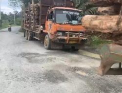 Jalan Pesisir Berau di Bawah Ancaman, Truk Kayu 20 Ton PT KIM Dan TRHLanggar Batas Muatan Tanpa Izin Jalan.