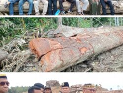 Kesultanan Gunung Tabur dan Sambaliung Desak Moratorium Hutan