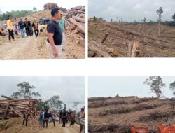 Ketegangan Meningkat Saat PT TRH Abaikan Titah Kesultanan Terkait Deforestasi Masif
