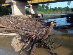 Sumbatan Log di Jembatan Blok 7 PT Berau Coal Lumpuhkan Ekonomi Warga Inaran