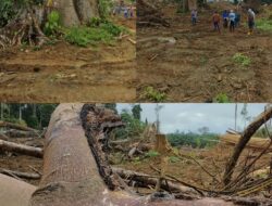 Krisis Hukum Adat di Berau, Aliansi Masyarakat Dayak Basab dan Sultanan Sambaliung Kecam PT THL, Ancam Aksi Massa Besar-Besaran