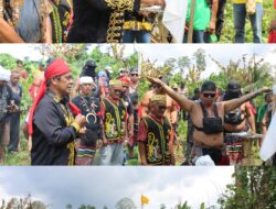 Buntut Abaikan Denda Kesultanan Sambaliung, Masyarakat Adat Dayak Basab Ulayat Jantui Gelar Ritual Sakral dan Ultimatum PT. THL Angkat Kaki