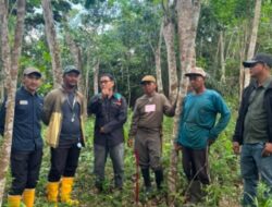 Langkah Strategis PLN di Kukar, Pastikan Pasokan Listrik Masa Depan Melalui Infrastruktur Baru