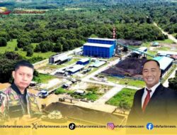 Paradoks Berbahaya di PT IPB, Kerugian Kumulatif Mencekik, Harta Dirut Melambung Tinggi